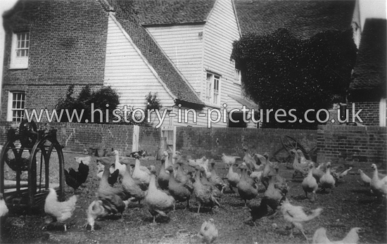 The Farmhouse and Yard. Highlands Farm, Mayland, Essex. c.1930's